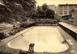 Bassin de natation